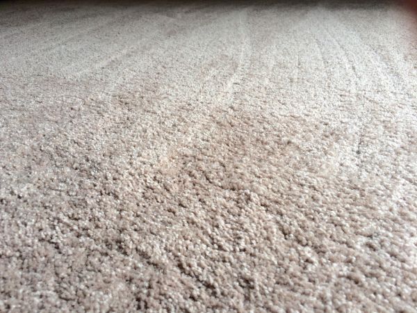 Plush Carpet Installation in Keller
