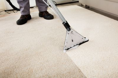 Specialty Carpet Care Experts