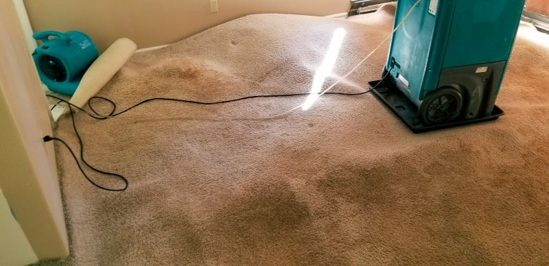Carpet Repair and Restoration Specialists
